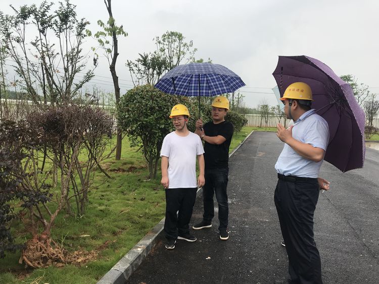 1562572186764897.jpeg 4 (1).jpeg