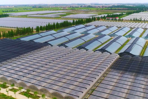 1609117897679445.jpg 市政公用生態(tài)農(nóng)業(yè)示范園南新生態(tài)園工程600400PX.jpg