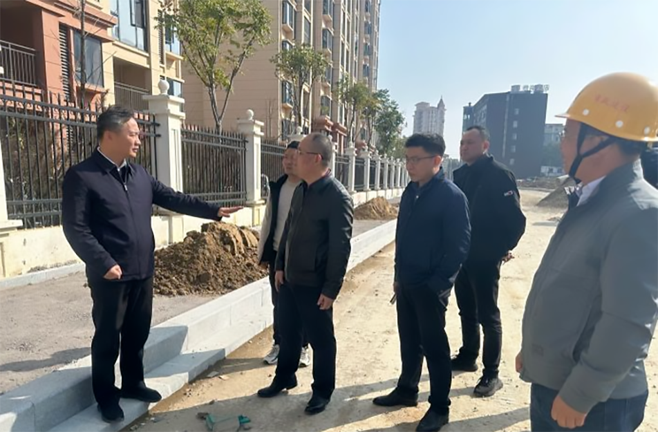 青山湖區(qū)黨委副書記、區(qū)長楊育星到利民路項目調(diào)研